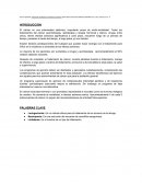 Prescripcion del Ejercicio en el Paciente con Cáncer