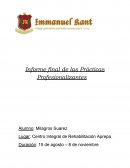 Informe final de las Prácticas Profesionalizantes