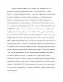 Modelo de negocio y cadena de valor