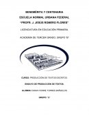 Ensayo produccion de textos