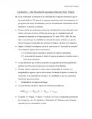 Volatilidad de los ingresos domésticos