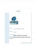 Estilos de liderazgo y trabajo en equipos de alto desempeño