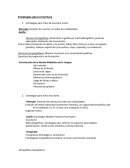 Estrategias de Escritura