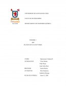 INFORME 3 ABP SECADO DE PLATANO VERDE