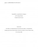 Emprendedores y emprendimientos estratégicos