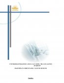 Desarrollo Organizacional Actividad 8, caso Catering Las Delicias