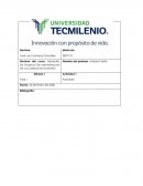 Desarrollo De Proyecto De Administración De La Cadena De Suministro