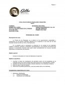 CIENCIA TECNOLOGÍA E INDUSTRIA