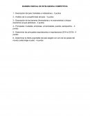 EXAMEN PARCIAL DE INTELIGENCIA COMPETITIVA Y GEOECONÓMICA
