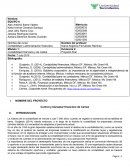 Contabilidad financiera y de costos . Control y bienestar financiero de Cemex