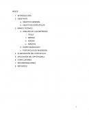 ANÁLISIS DE LAS EMPRESAS TESLA KERING ADIDAS AMAZON