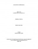 DIAGNOSTICO EMPRESARIAL PROYECTO ALIMENTOS EL PALMAR S.A.S.