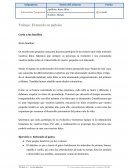 El mundo en pañales. Carta a las familias