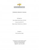 Problemática Ambiental en el Amazonas