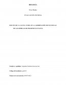 EFECTO DE LA LLUVIA ÁCIDA EN LA GERMINACIÓN DE PLÁNTULAS DE LAS SEMILLAS DE PHASEOLUS LUNATUS