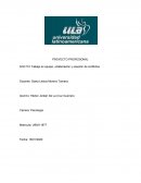 Trabajo en equipo, colaboración y solución de conflictos