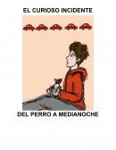 Resumen "el curioso incidente del perro a medianoche"