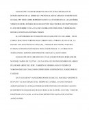 NUESTRO PUEBLO GUADALUPE