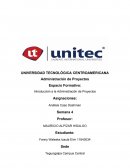 Análisis del caso Dashman Company