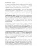 Actividad de análisis y reflexión (para entregar)