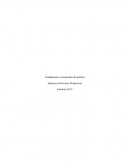 Fundamentos conceptuales de química Química en Procesos Productivos
