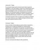 Conclusión de Trabajo de Gerencia