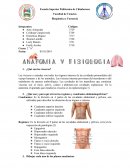 Bioquímica y Farmacia