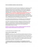 PROGRAMA DEL FESTIVAL DECEMBRINO