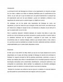 Actividad Liderazgo Mary Ibarra