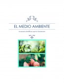 EL MEDIO AMBIENTE. Avances científicos que lo favorecen