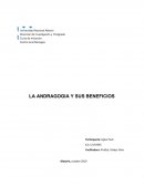 LA ANDRAGOGIA Y SUS BENEFICIOS