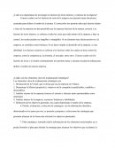 Cuál es la importancia de investigar los factores de éxito internos y externos de la empresa?