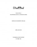 Caso transformación organizaciones