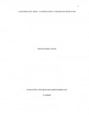 TR038 - PLANIFICACION Y GESTION DE PROYECTOS