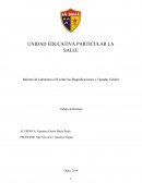 Informe de Laboratorio #2 sobre las Magnificaciones o Tamaño Celular