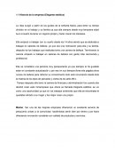 Historia de la empresa (Elegante estética)