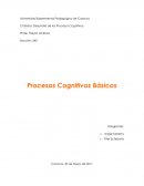Procesos Cognitivos Básicos