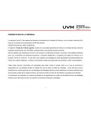 ANALISIS DEL DESARROLLO DE UNA EMPRESA