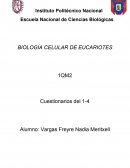 BIOLOGÍA CELULAR DE EUCARIOTES