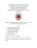 INVESTIGACIÓN DE MERCADO PARA LA EMPRESA “CASCADA S.A.”