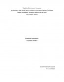 Problemas ambientales, el cambio climático