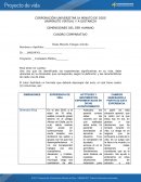 Cuadro comparativo de dimensiones humanas