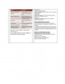 TRABAJO PRACTICO Salud familiar