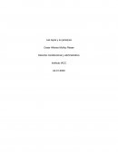 Las leyes y su jerarquía