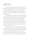 Ensayo Sectores Económicos de Venezuela