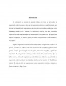 NEGOCIACIÓN COLECTIVA