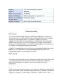 Modelo de calidad Pemex Trasformación Industrial