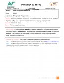 Trabajo de programacion