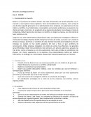 Dirección y Estrategia Comercial Caso 1 - BASLER