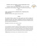 INFORME ACERCA DE OBSERVACIÓN DE MICROESTRUCTURAS